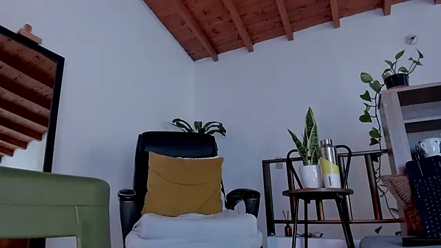 bruno_woods webcam