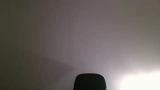 VelvetRagottiOG webcam