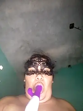 BETY2026 webcam