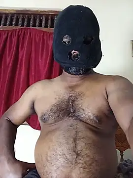 Hiptonos webcam