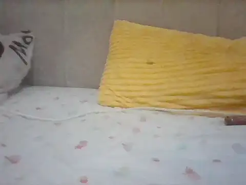 Bigbambam30 live cam on StripChat