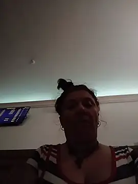 kotkite webcam