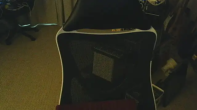 Check-Mate webcam