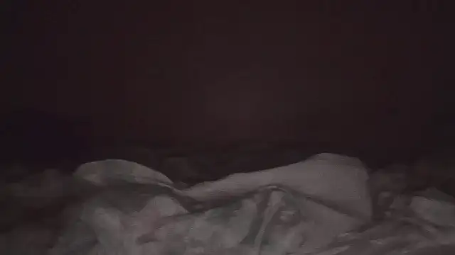 JoaoPinto0 webcam