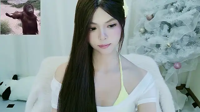 Keeaaiiii webcam