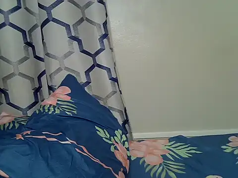 Shash_drip webcam