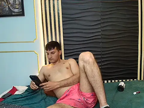 Stimot webcam