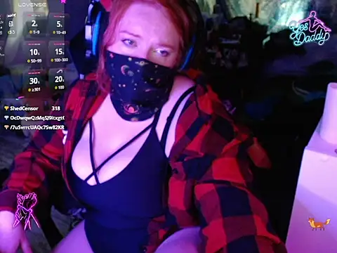 VibeFox webcam