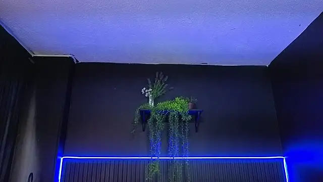 sasi_luna webcam
