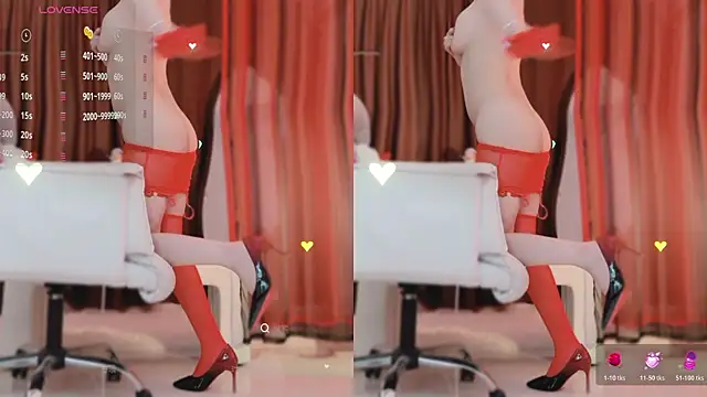 Vaidurya-Yolo webcam