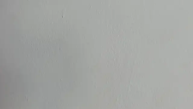 ebi_velvet webcam
