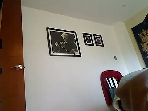 Rakastava webcam
