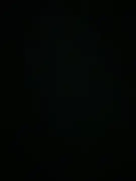 shanty_252525