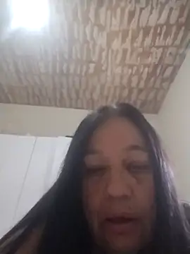 catdool webcam