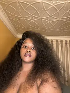 Bella-Porsche webcam