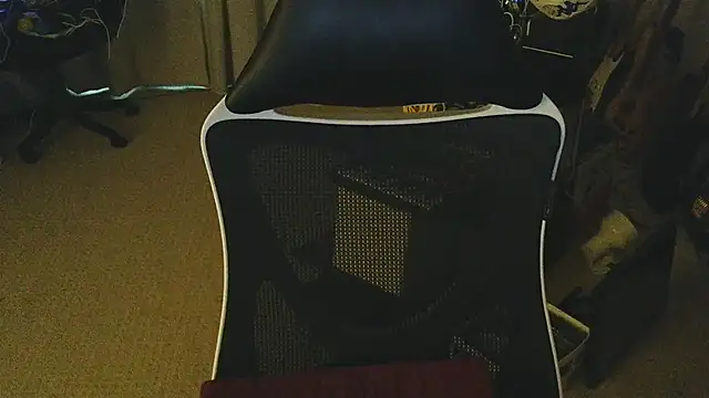 Check-Mate webcam