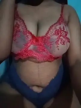 Rosse-Sanaya webcam