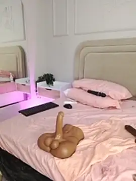 Liastarkk webcam