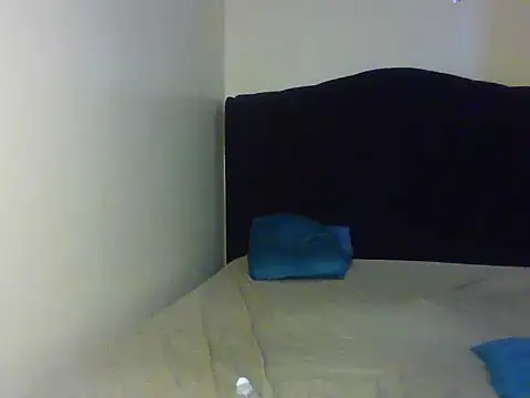 Brown_dolly webcam