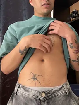 SirDamian webcam