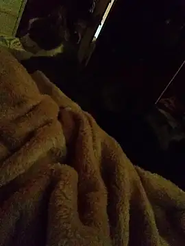 jaqrabit live sex cam