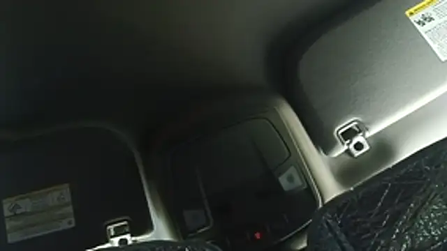 CumSwallows webcam