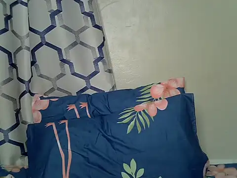 Shash_drip webcam
