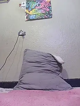 ANEVANS2 webcam