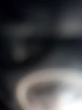 dustbunny64 webcam