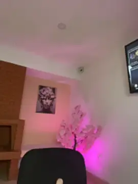 MiaPortmass_ webcam