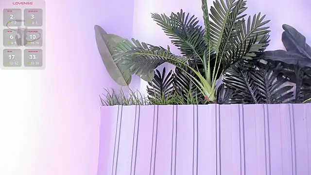 stephanymonroe webcam