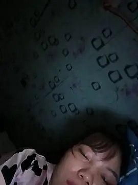 Sana-vn webcam
