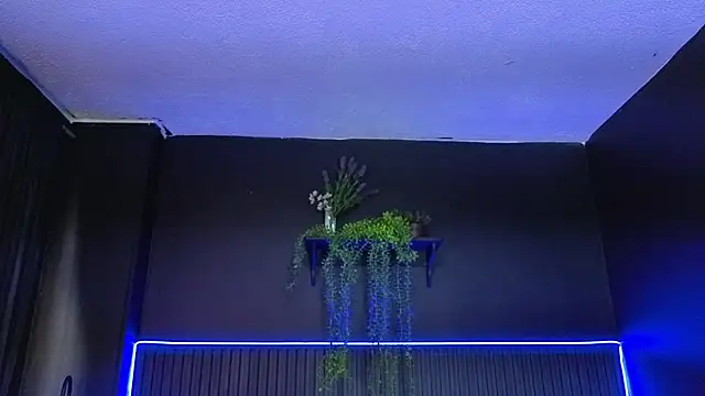 sasi_luna webcam