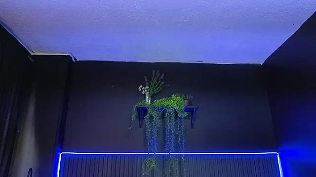 sasi_luna webcam