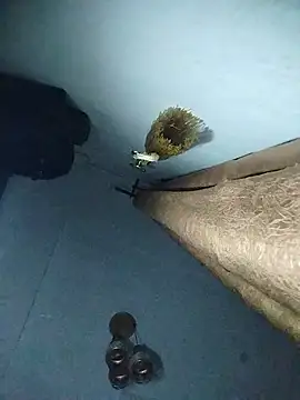 wetezzy webcam