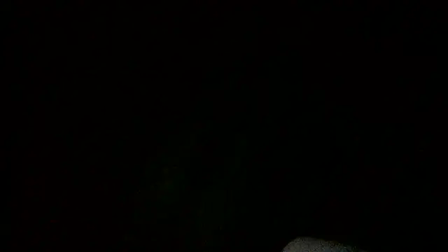 VanessaSissyGay webcam