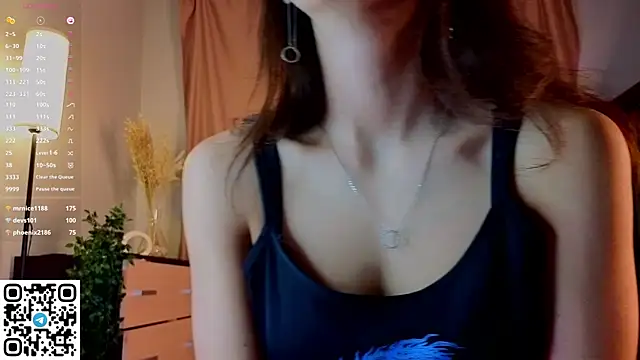 NerixalVire webcam