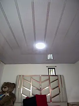 serena_willow webcam