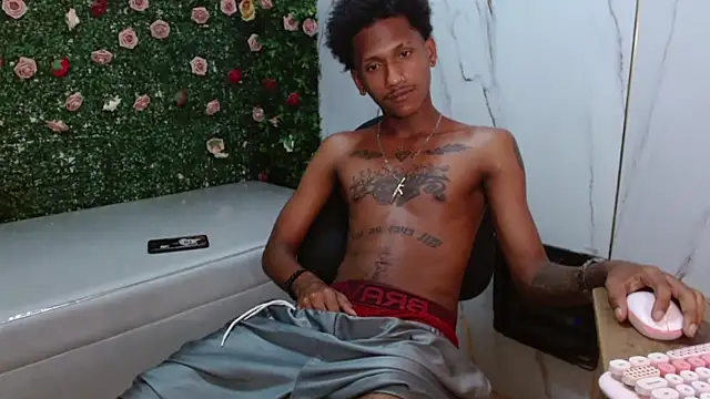 ManSant webcam