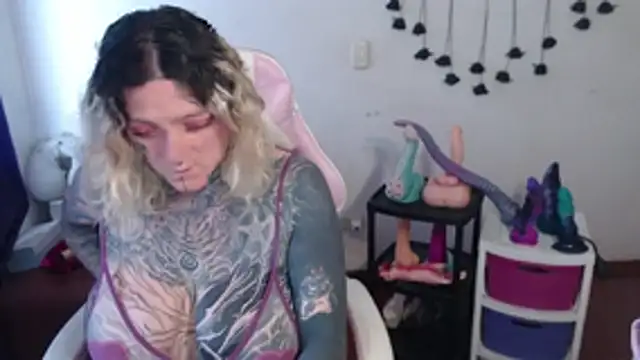 SLOPPYTITSS webcam