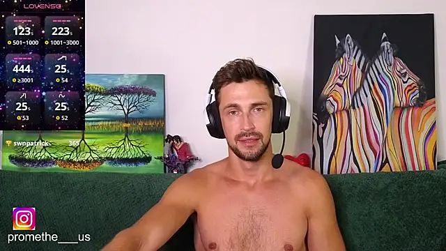 Promethe_us webcam