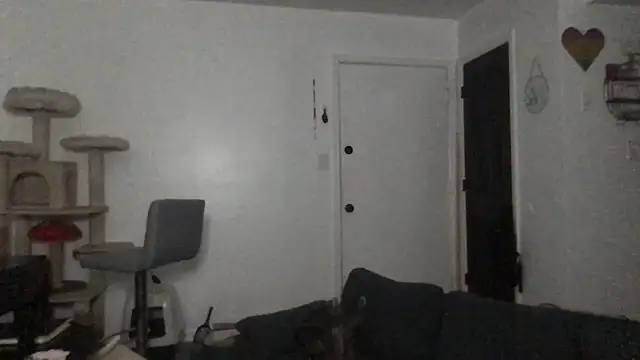 HighOffCandy webcam