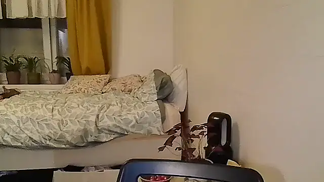 belgianshantie webcam