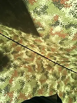 lamejorpene webcam