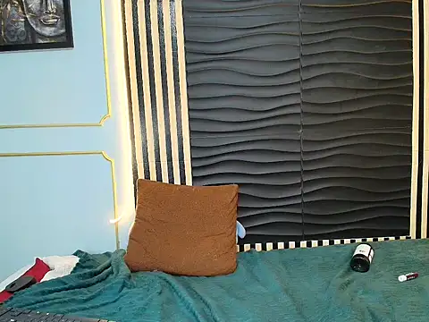 Stimot webcam