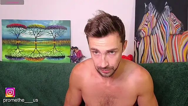 Promethe_us webcam