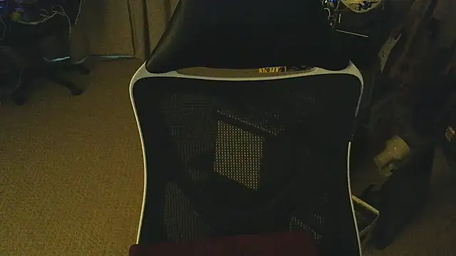 Check-Mate webcam