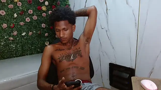 ManSant webcam