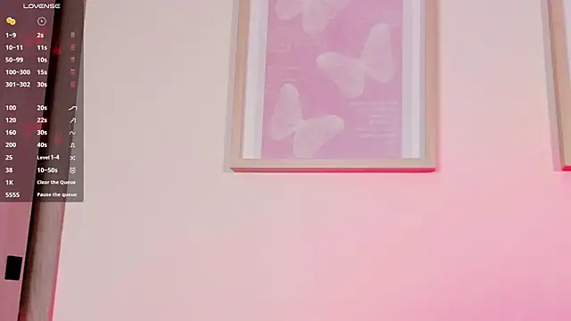 evan_voss webcam