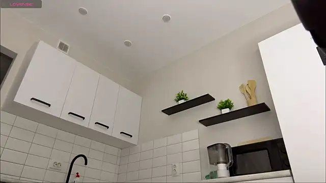 Miravice webcam